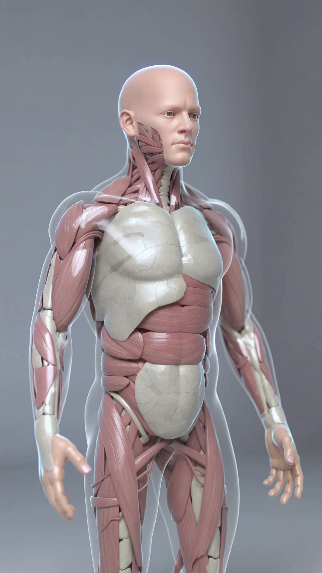 tear in the muscle - muscle wallpaper AI video