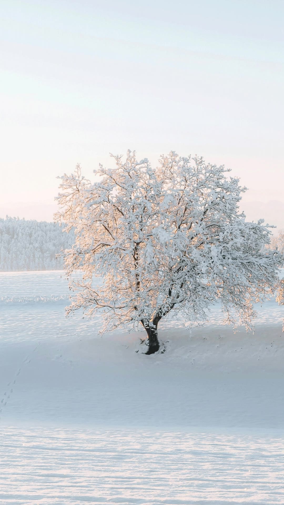 snow - snow kling ai AI video
