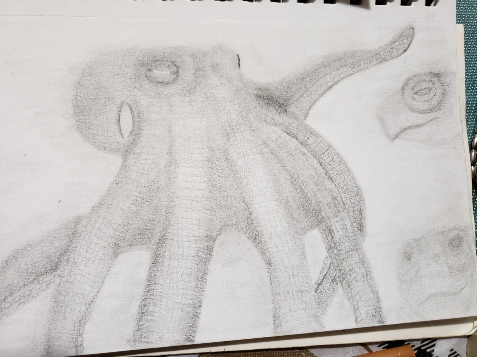 Kling AI work 299423443614406 - octopus ears AI video