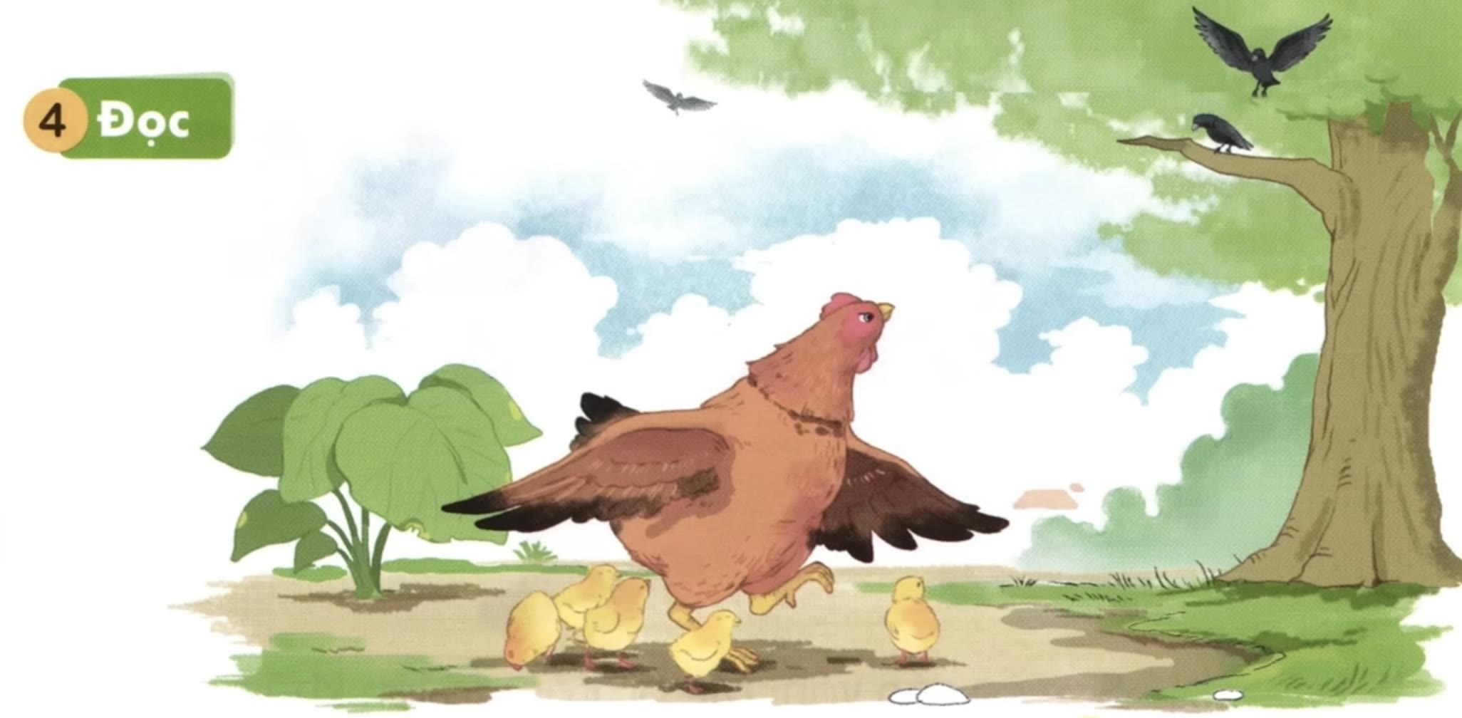 Kling AI work 321945023300477 - evolution of hen AI video