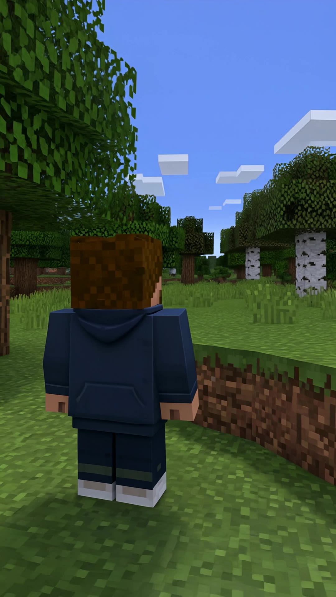Kling AI work 311288382501666 - flies minecraft AI video