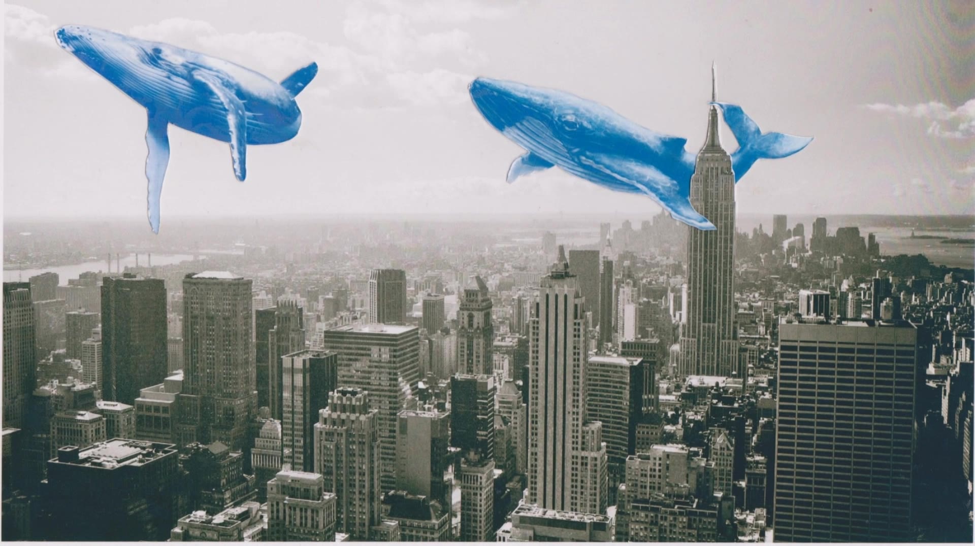 Blue whale in the sky - whale album cover AI video