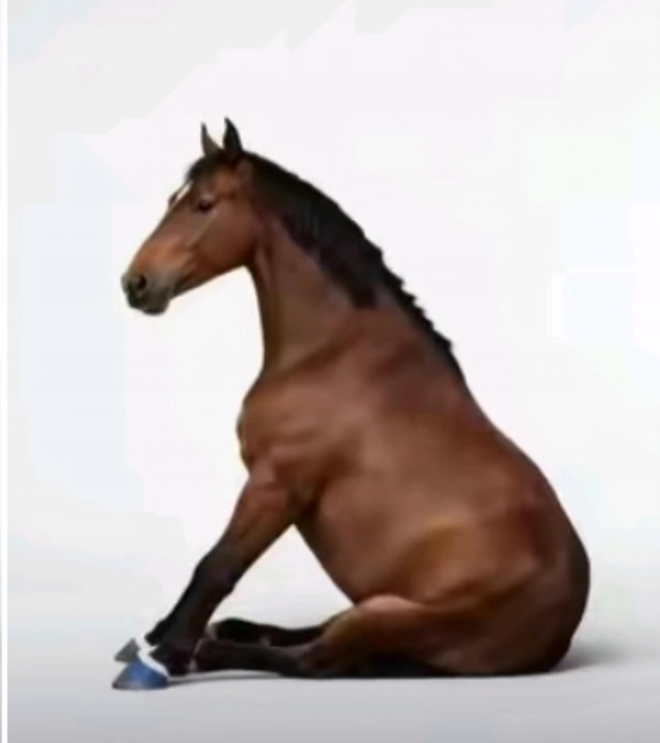 Kling AI work 318622440618625 - video meme maker online AI video