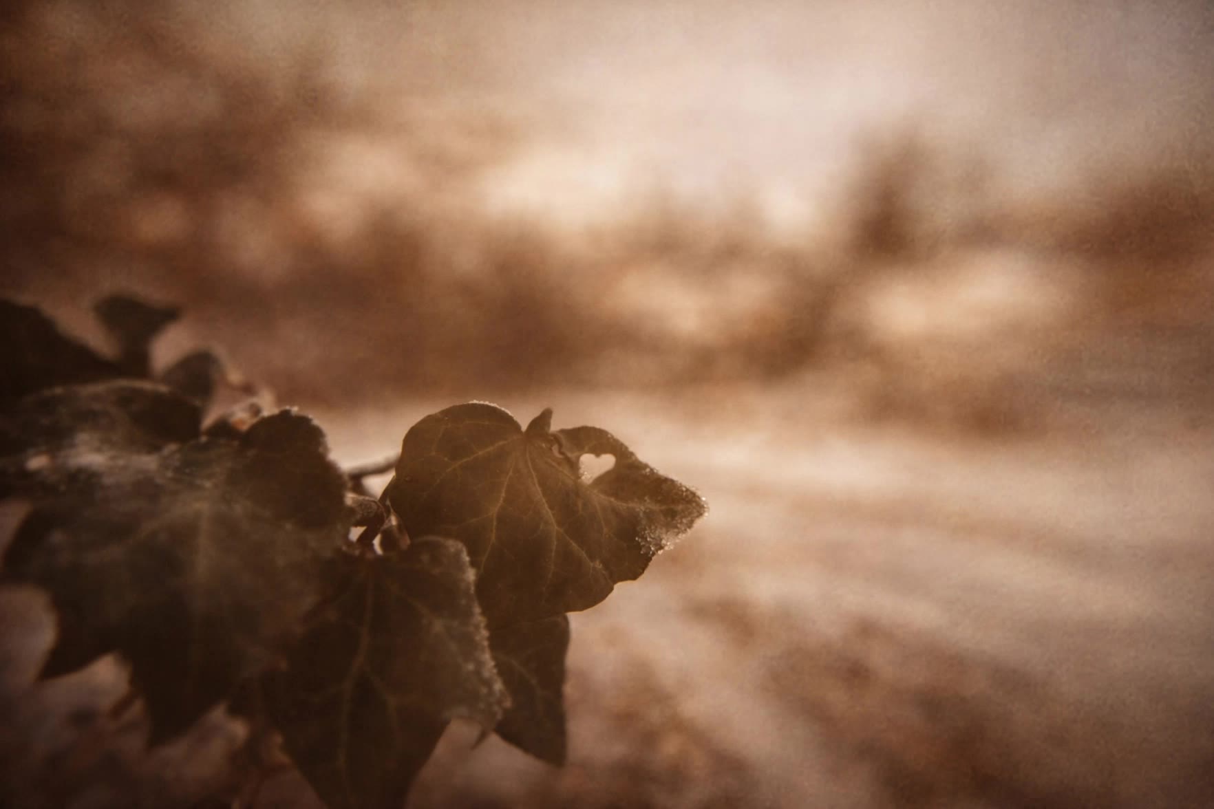 The Little Heart in Winter - stop motion filmes AI video