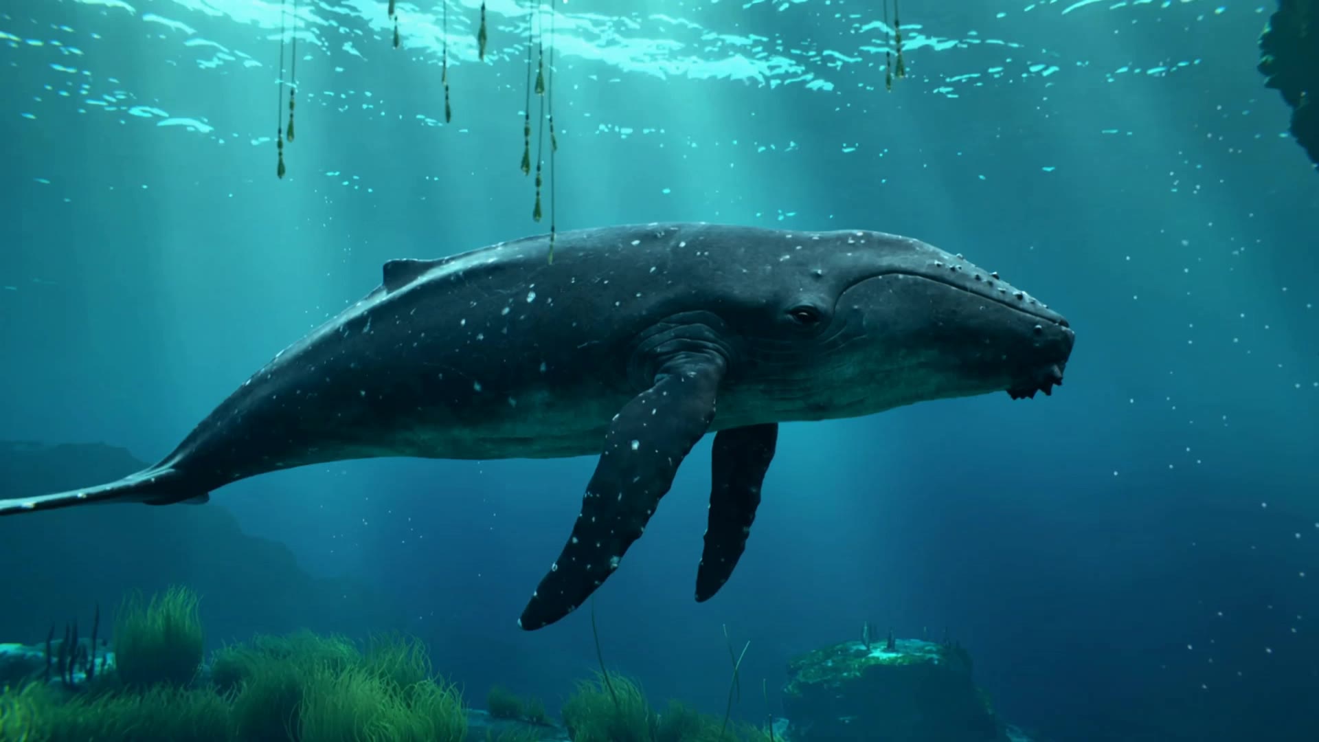 Kling AI work 296587238611829 - whale desktop wallpaper AI video