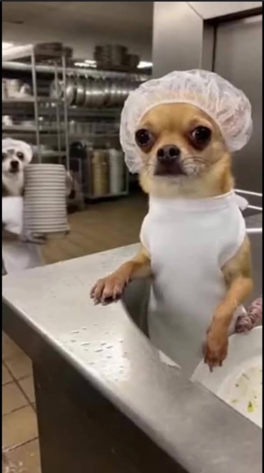 Kling AI work 317429341662833 - profile picture for tik tok AI video