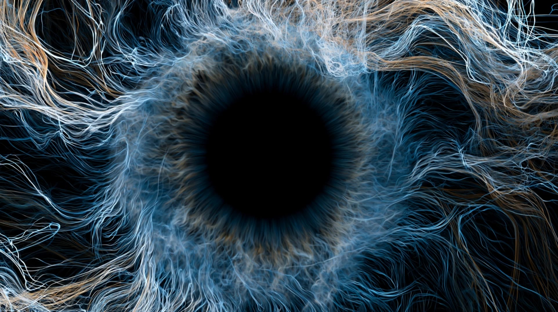 IRIS fiber progression - camera iris AI video
