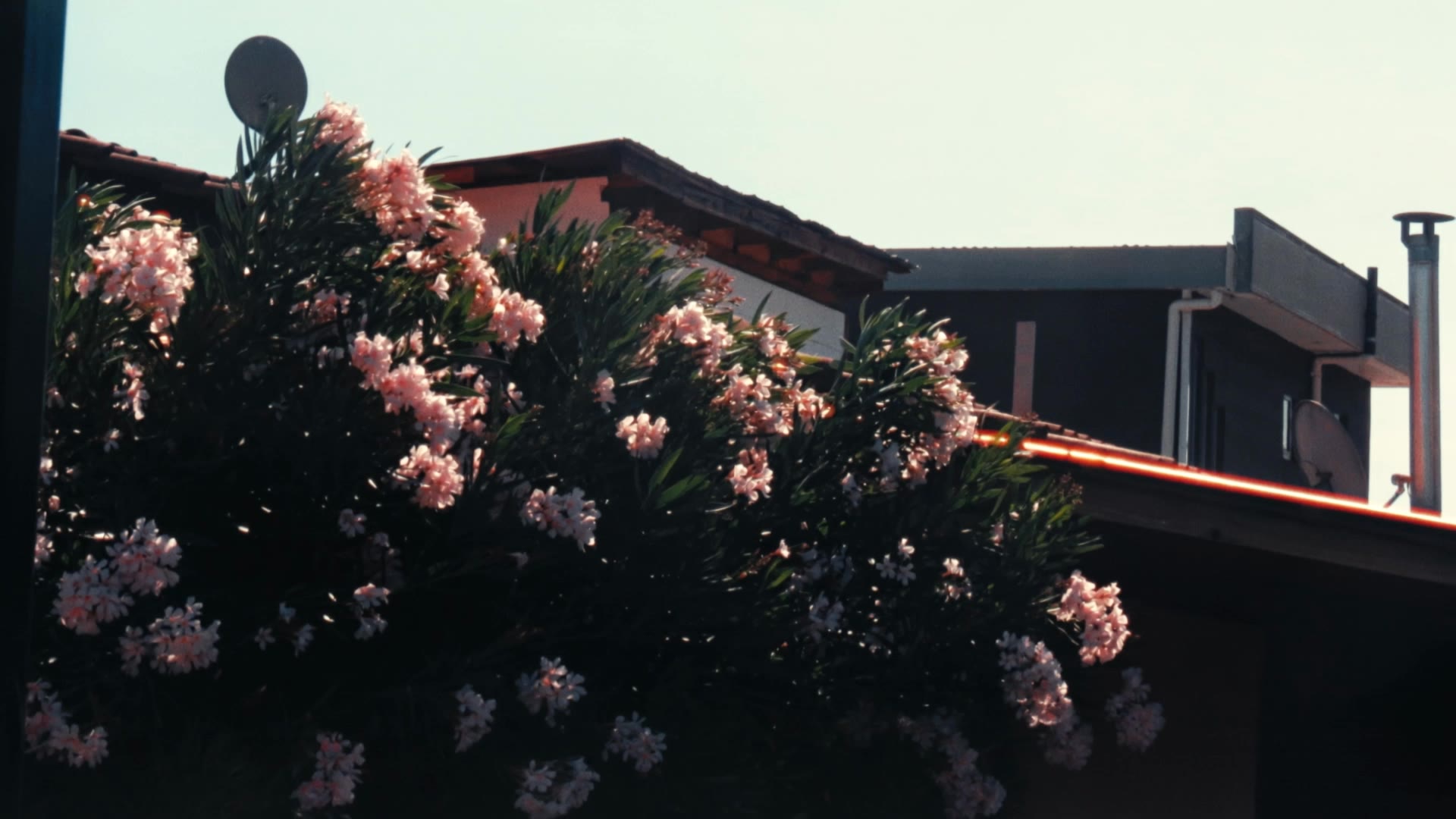 work cover