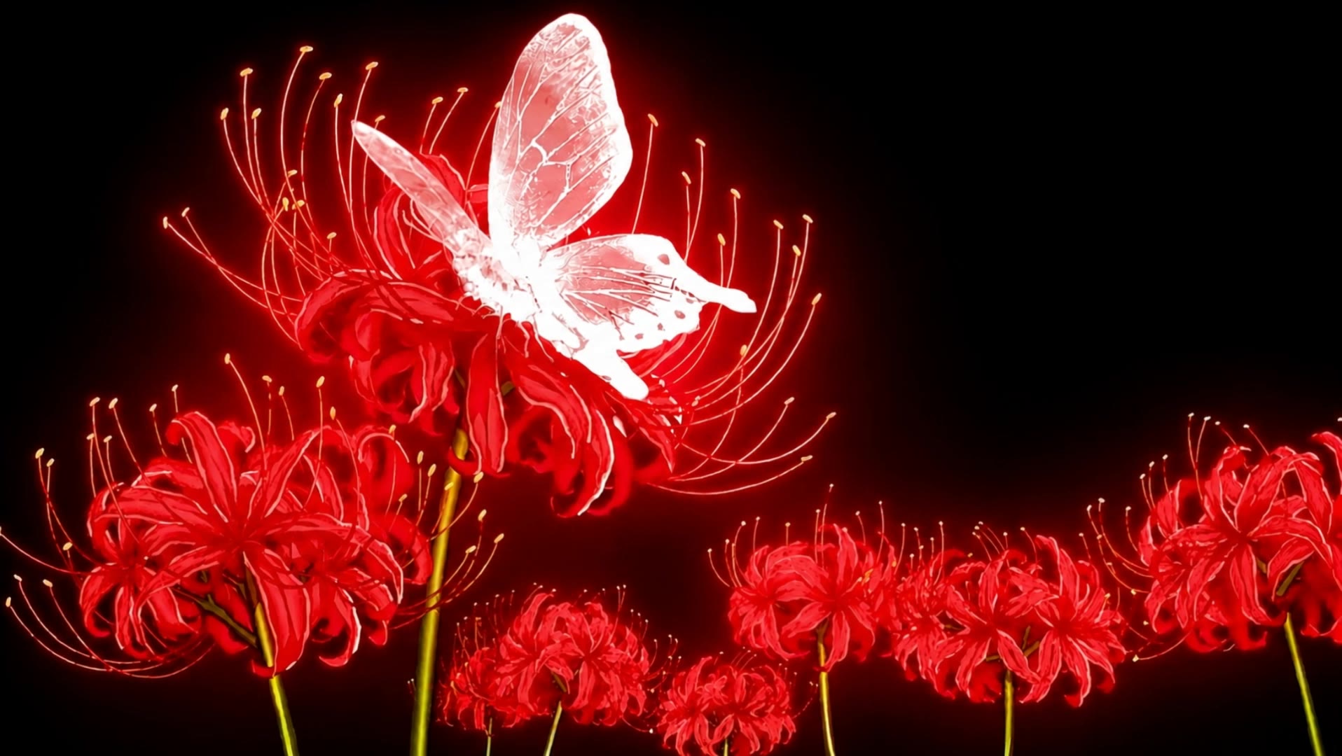 Kling AI work 313211200660627 - butterfly ai wallpaper AI video