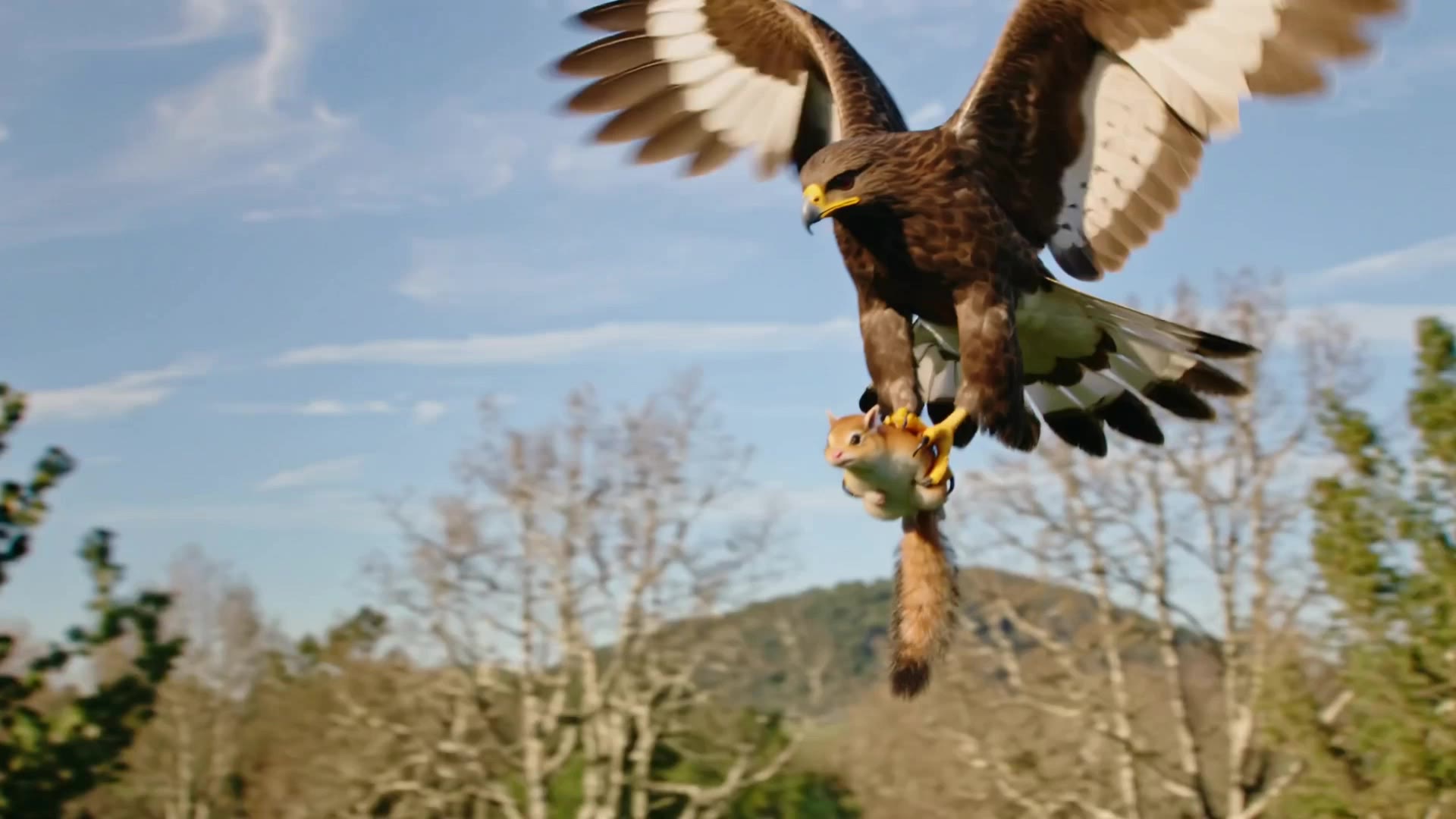 Kling AI work 309741994610477 - flying squirrel images AI video