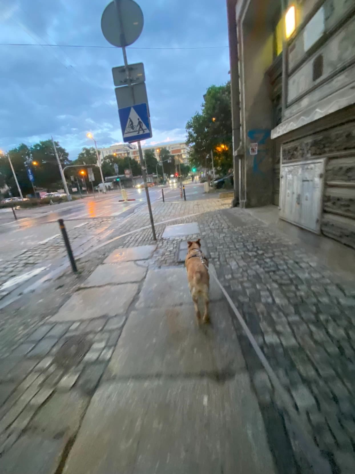 Kling AI work 313529479660997 - screen effects AI video