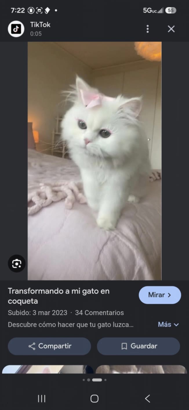 la gata coquette - coquette core AI video