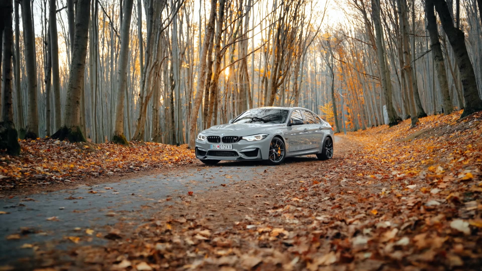 work cover