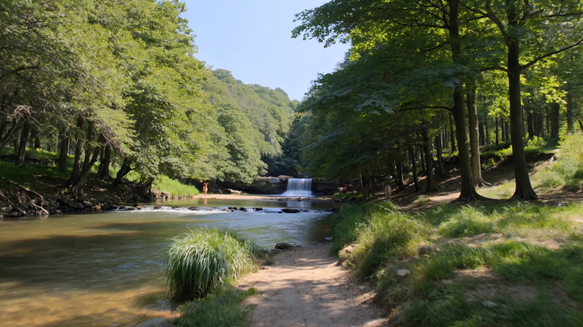 Nature - free ai video nature AI video