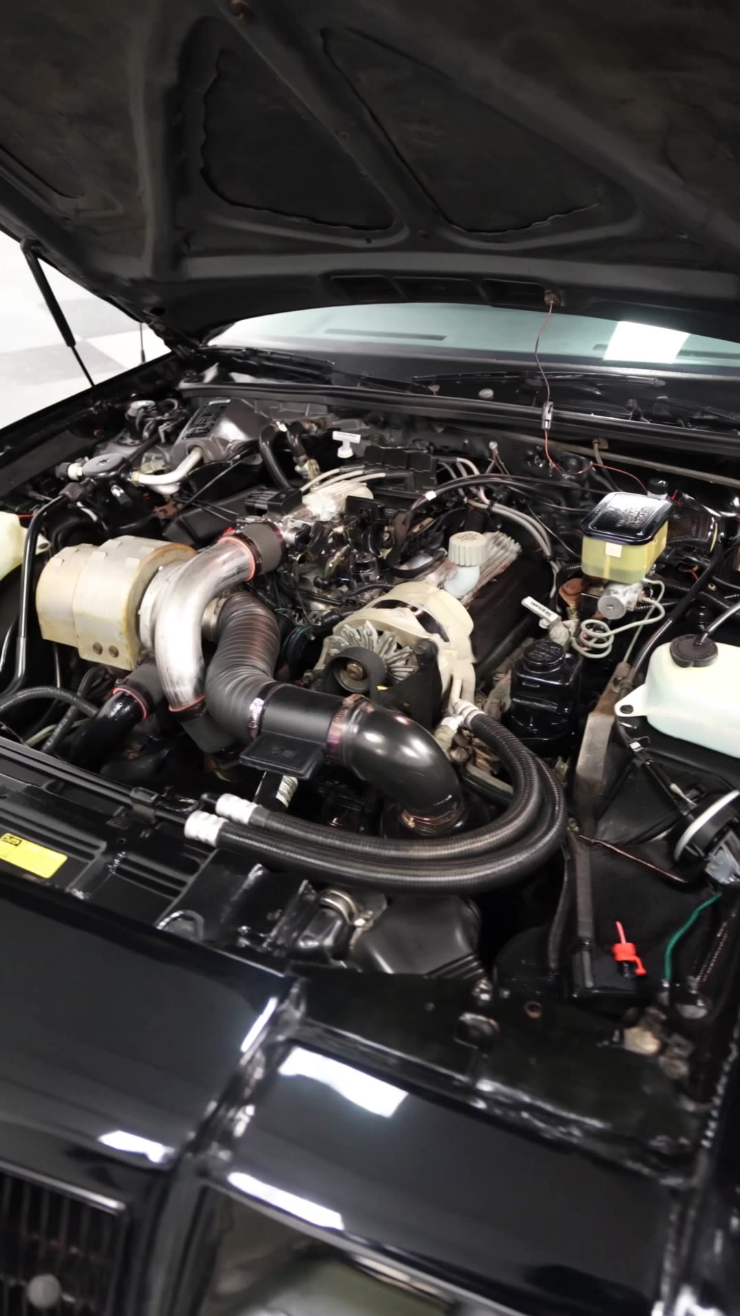 Kling AI work 315402355667661 - turbo 4 AI video