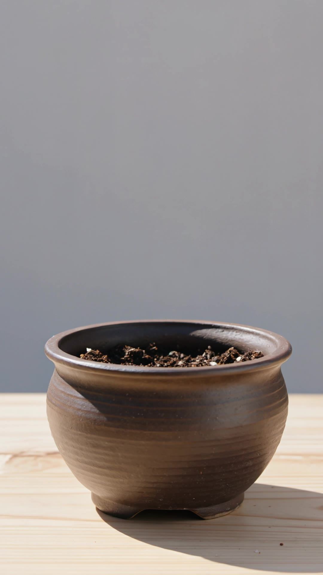 Japanese Bonsai Tree - japanese alleyway AI video
