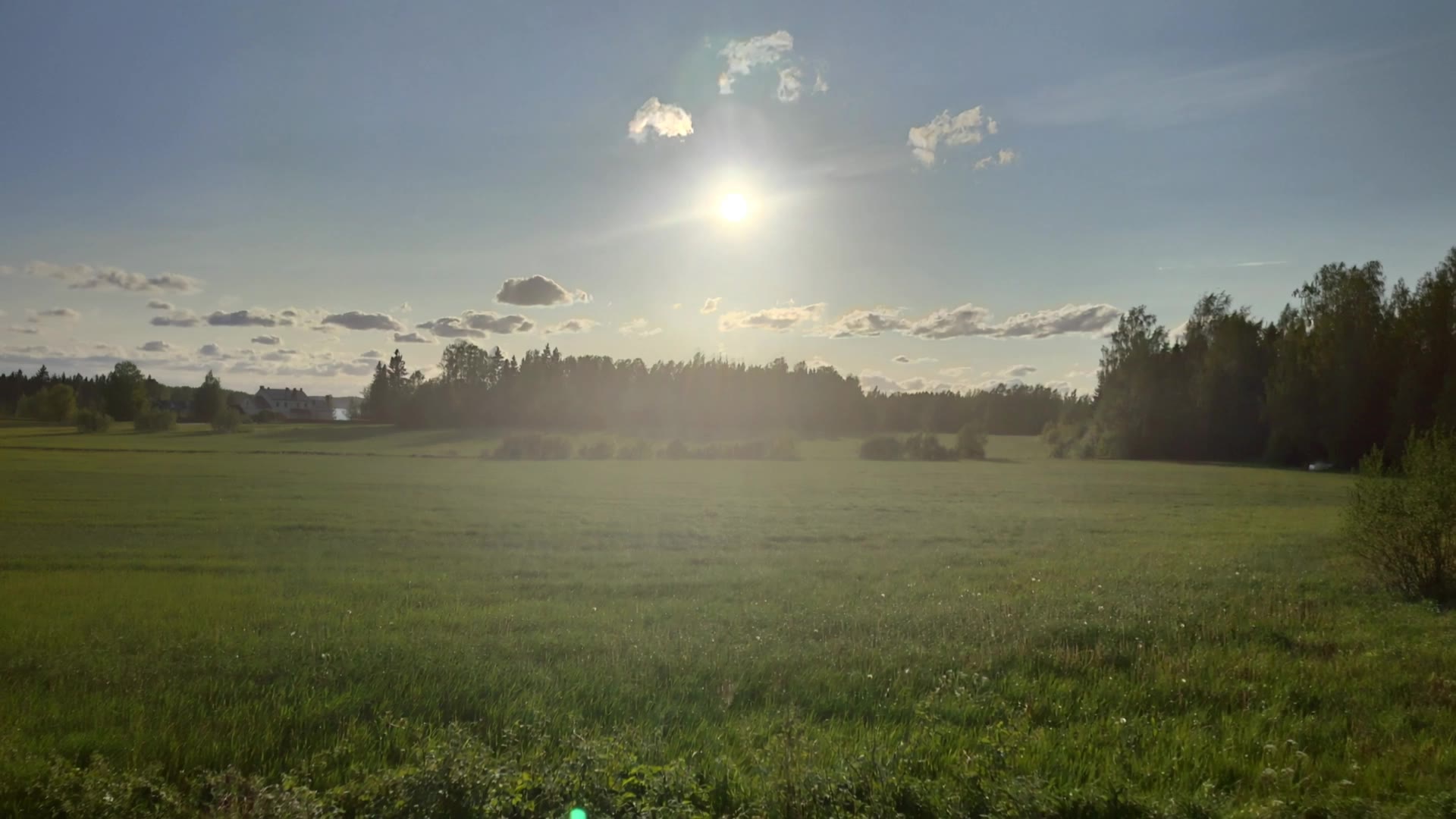 Evening fields - ai fields AI video