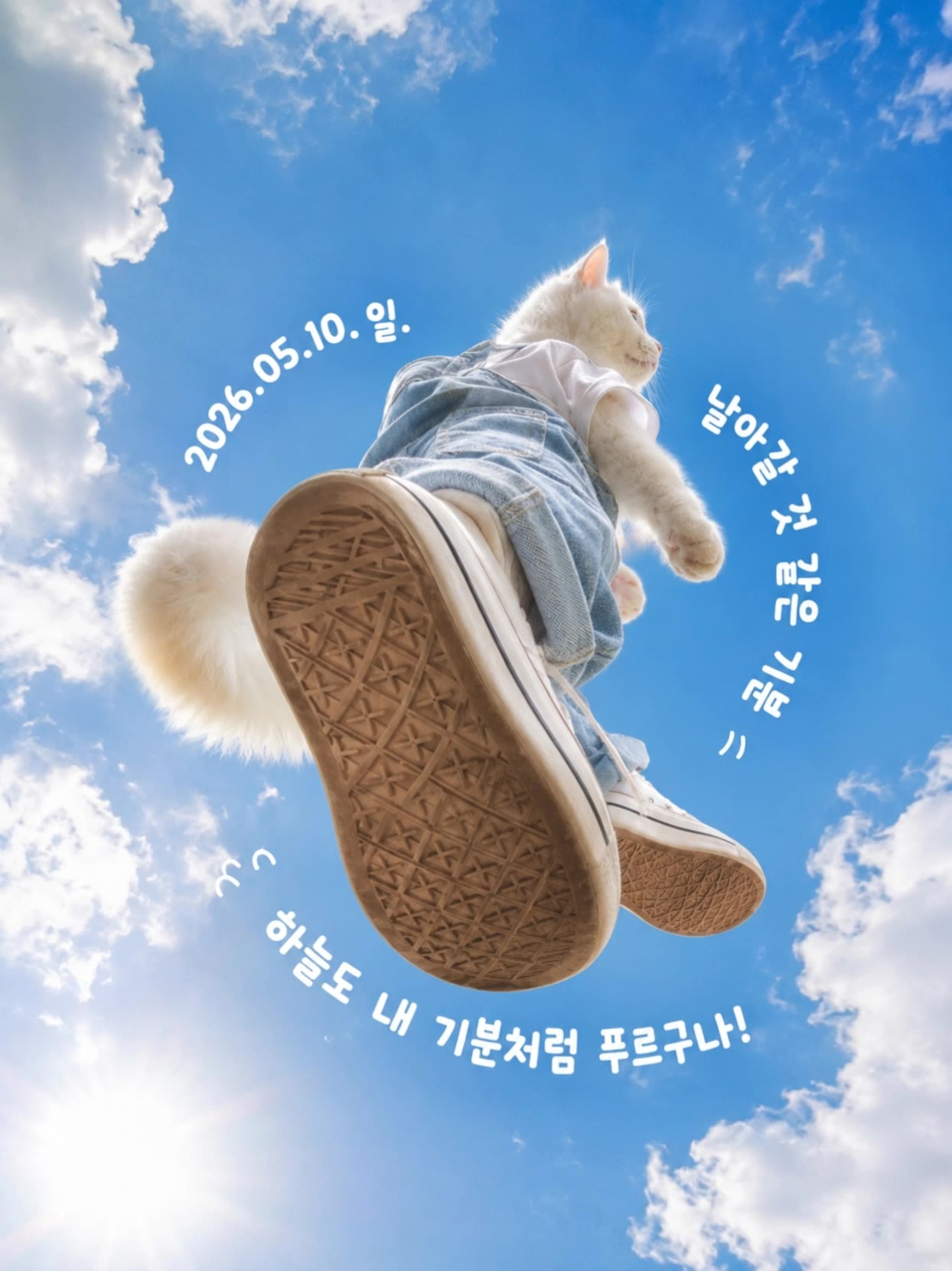 하늘 감성 포스터 릴스 냥냥이 버젼 - 9 16 resolutions AI video