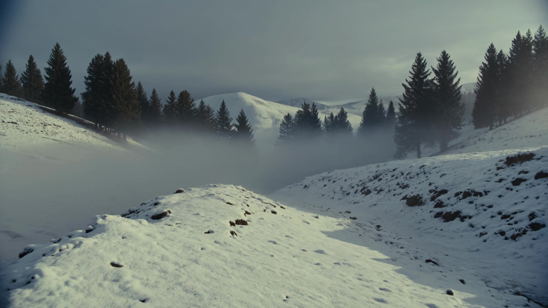 Kling AI work 316878388501382 - extreme wide shot AI video