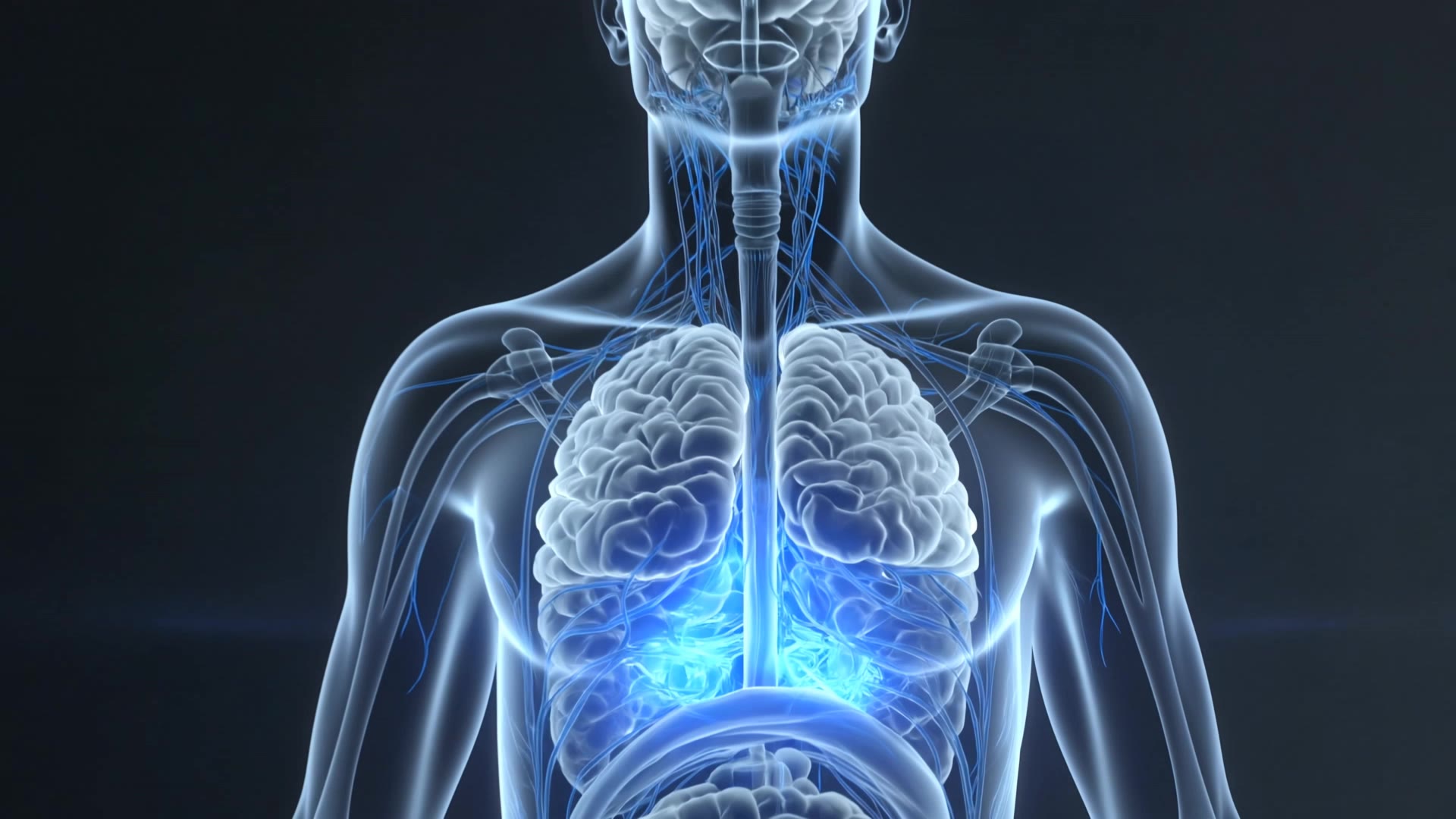 glowing translucent human body - ai body AI video