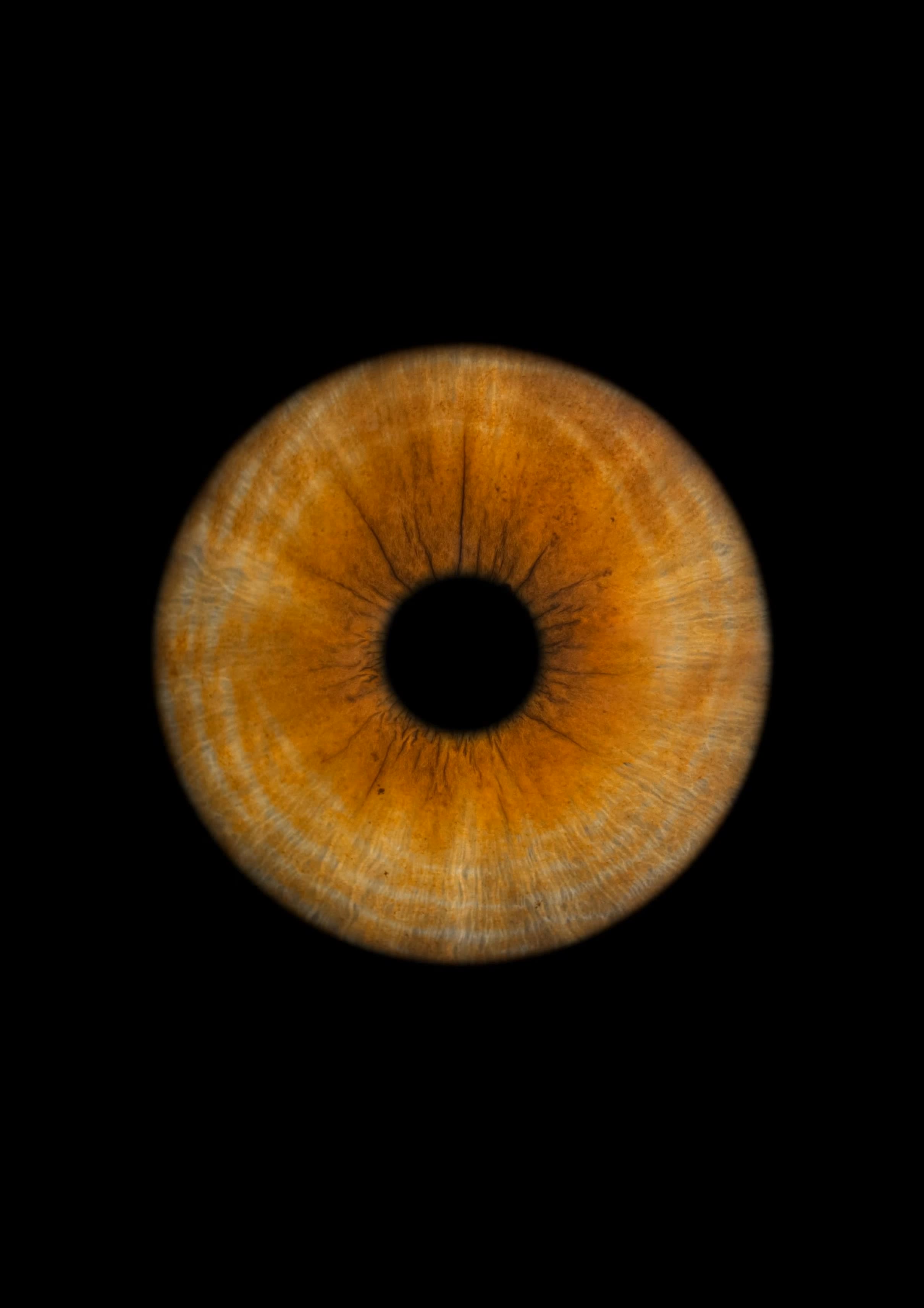 The Ocean in Her Eyes - camera iris AI video