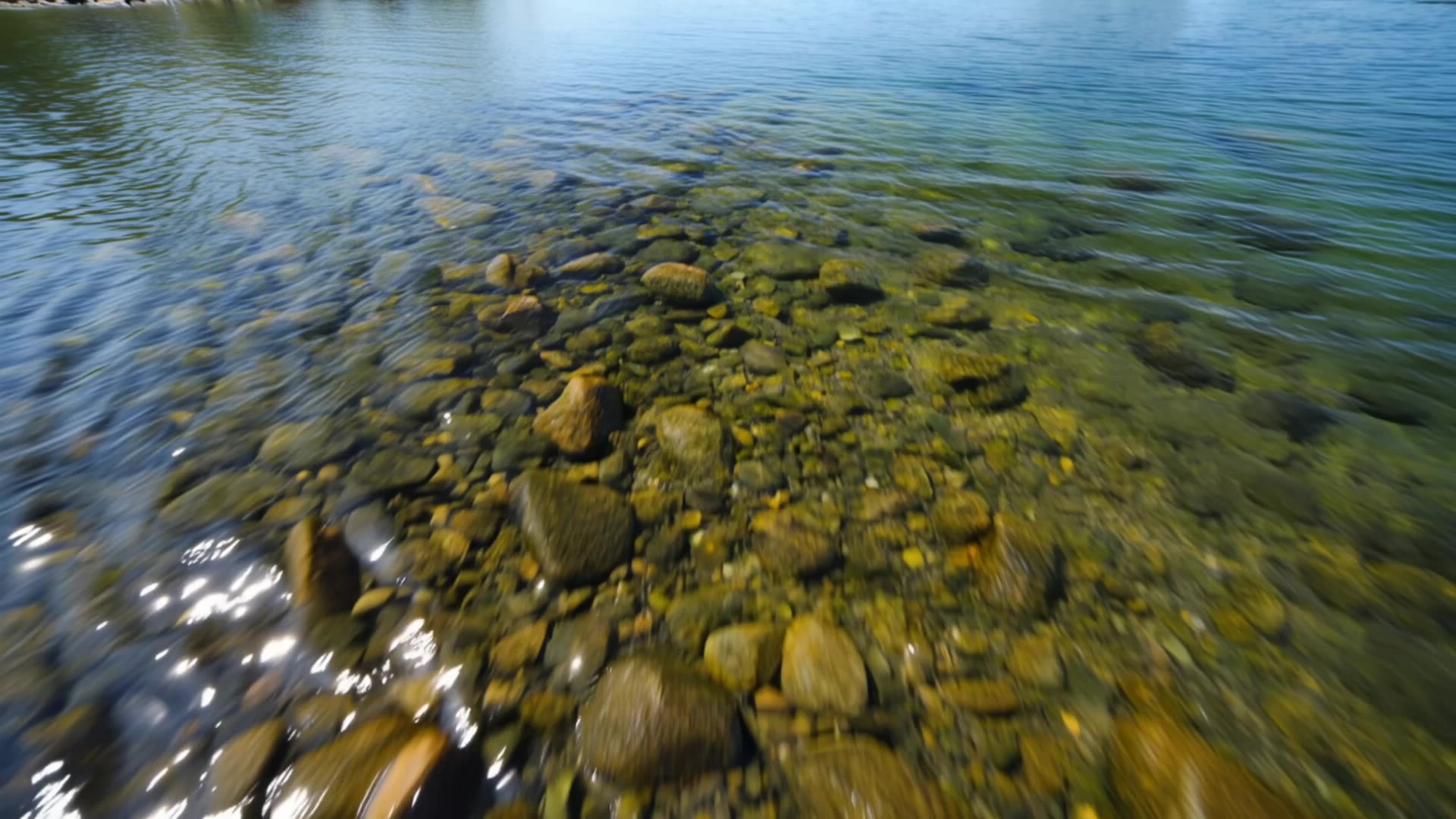 Crystal Clear Currents - video backdrop AI video