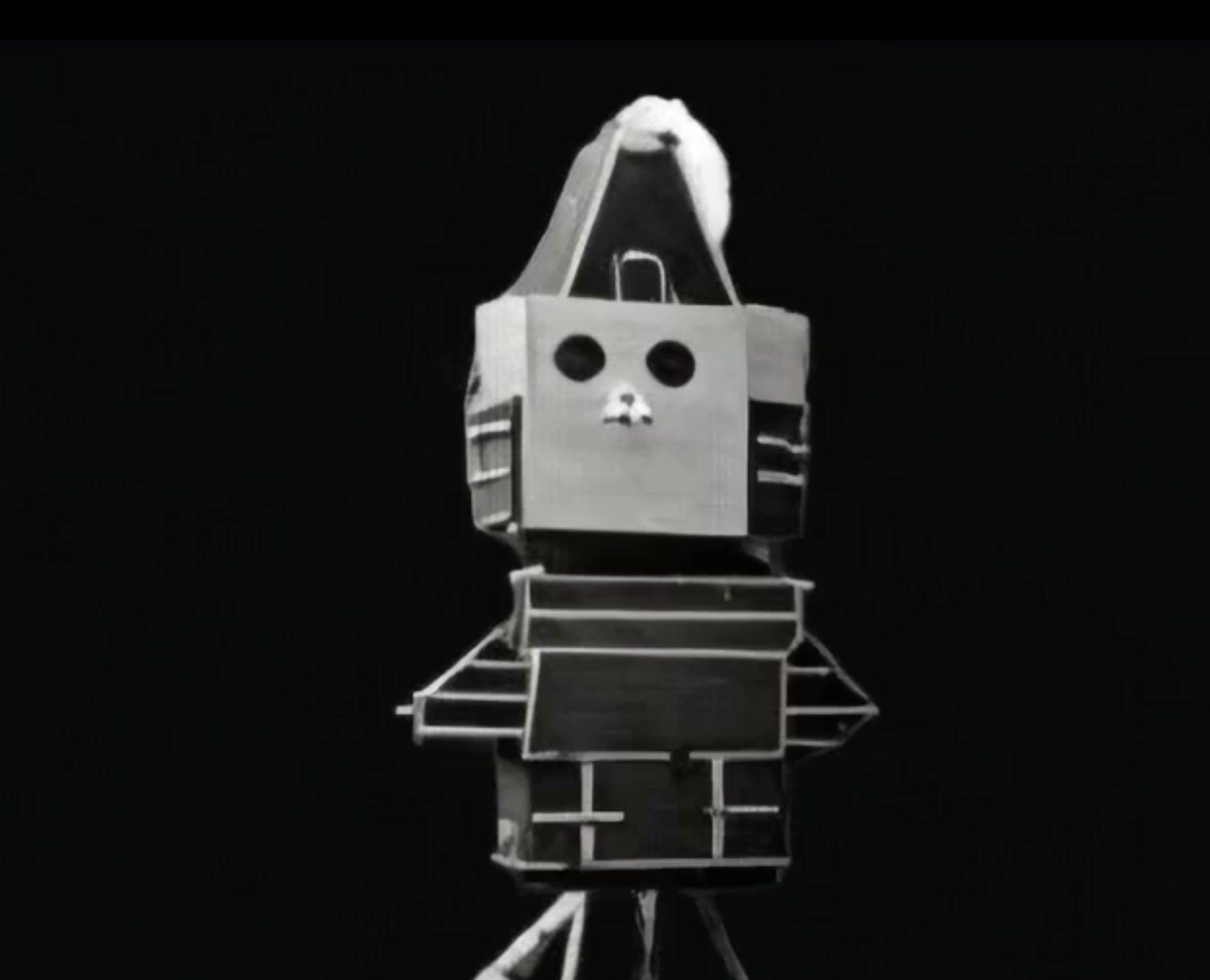 puSgnhsZ avatar