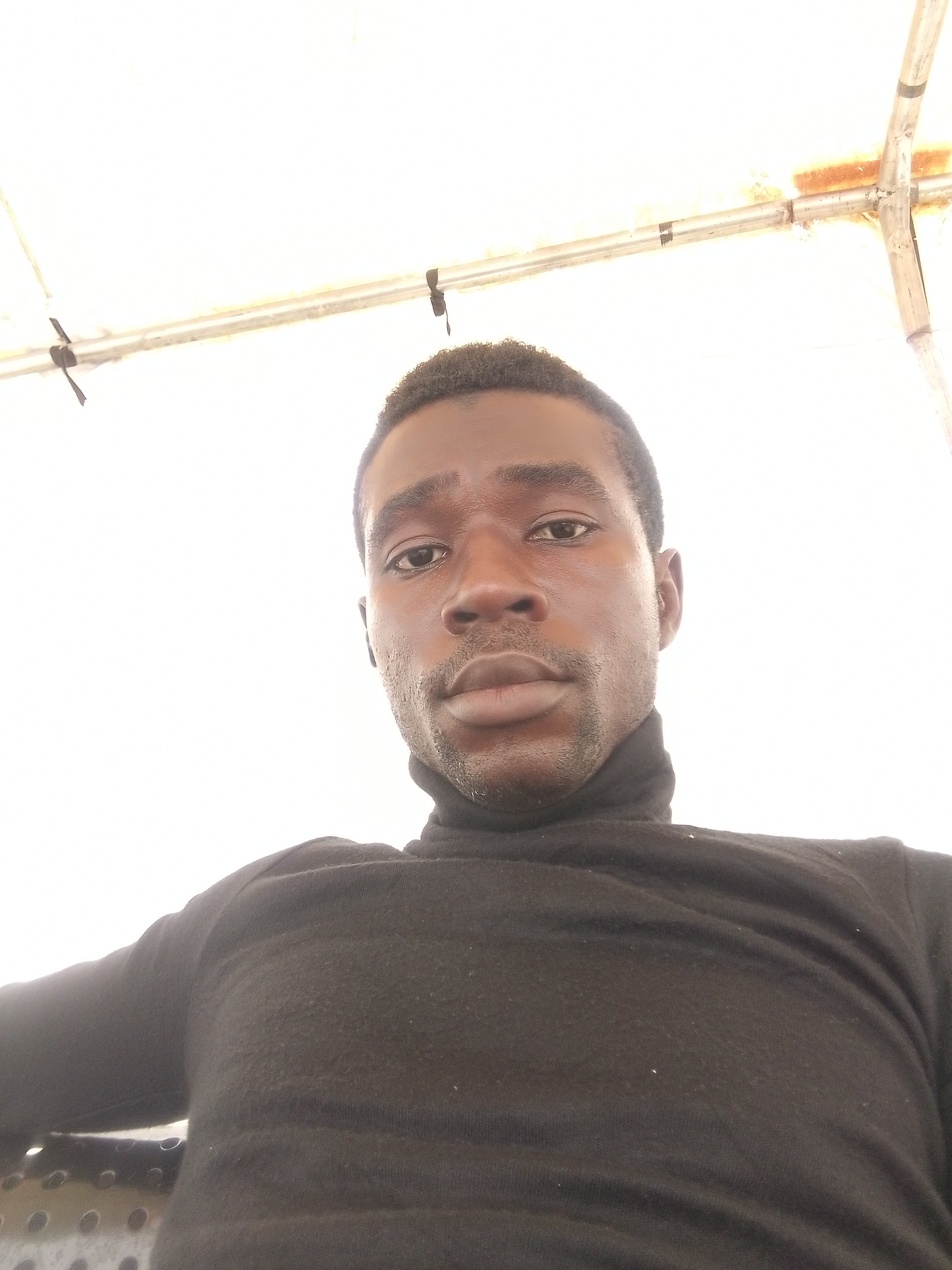 TeaJayKonsult avatar