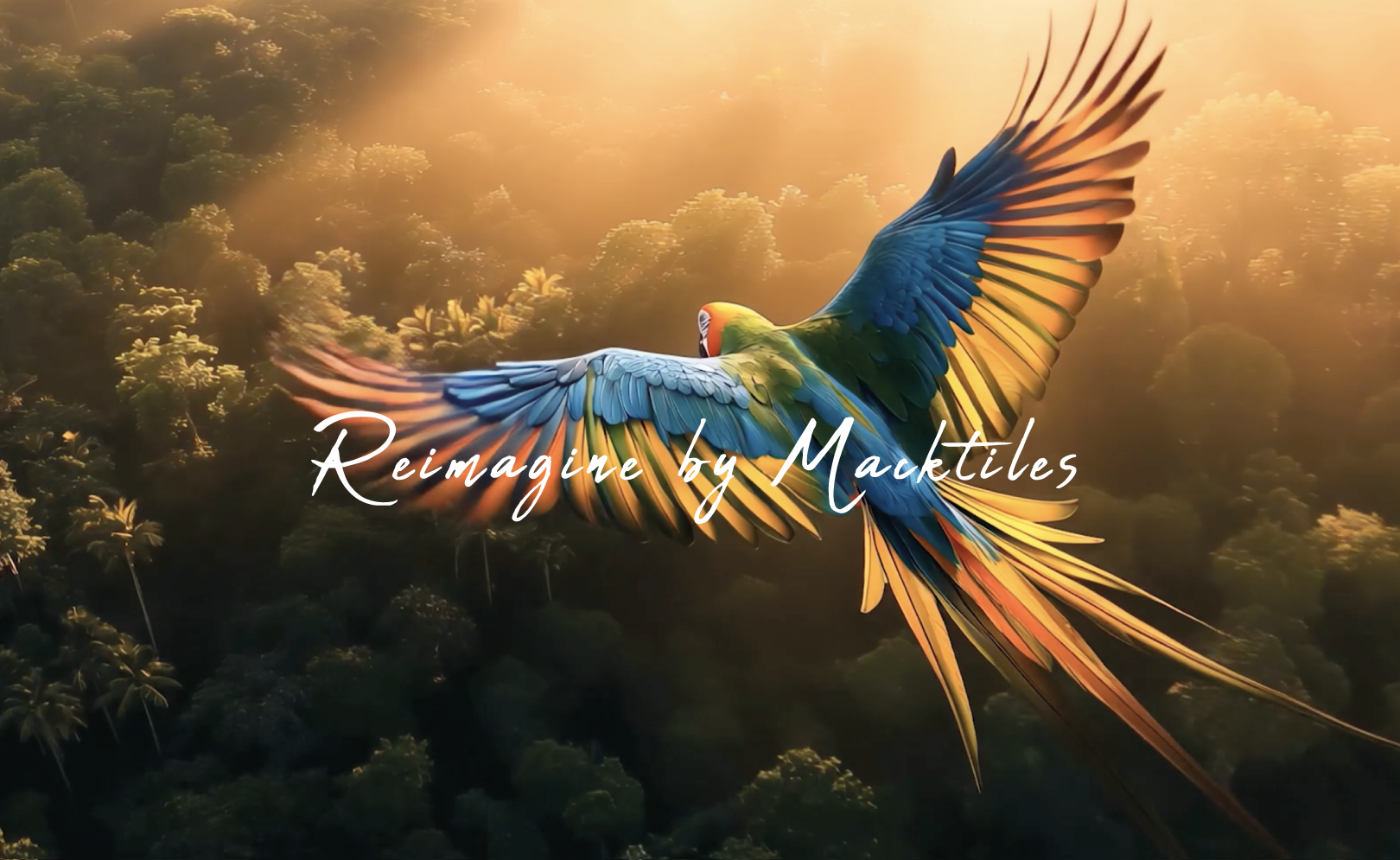 Reimagine by Macktiles - reimagine ai AI video