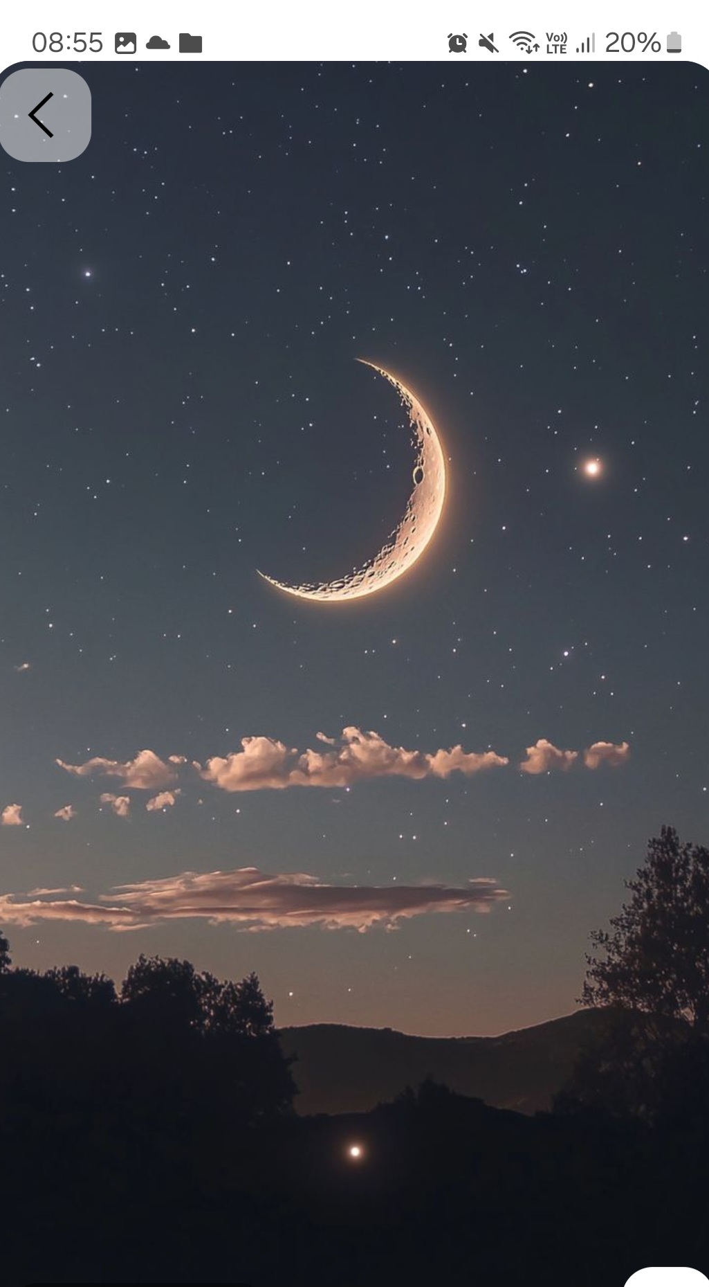 Rivenlight✨️🌙 avatar