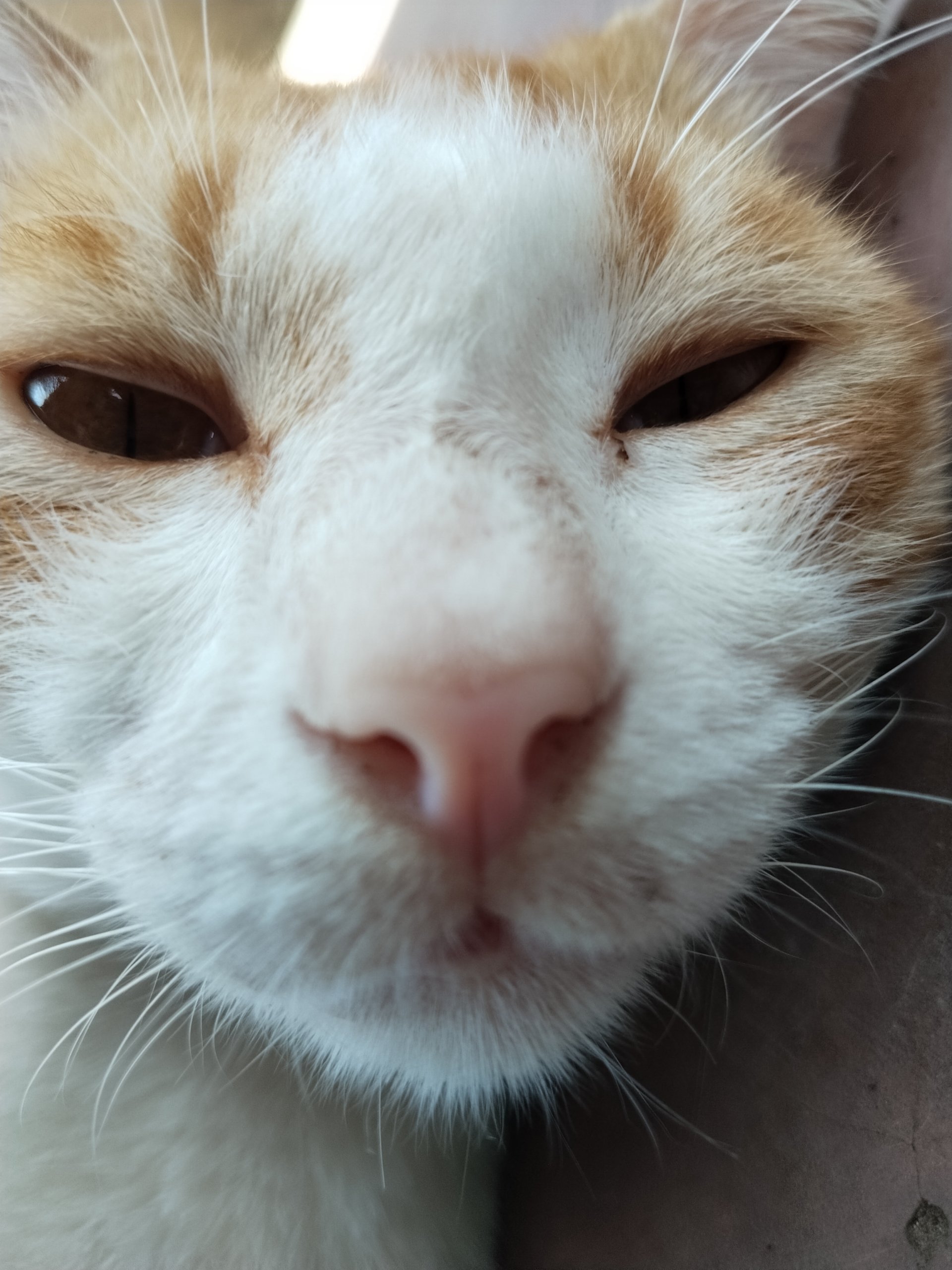 iGvVexSu avatar