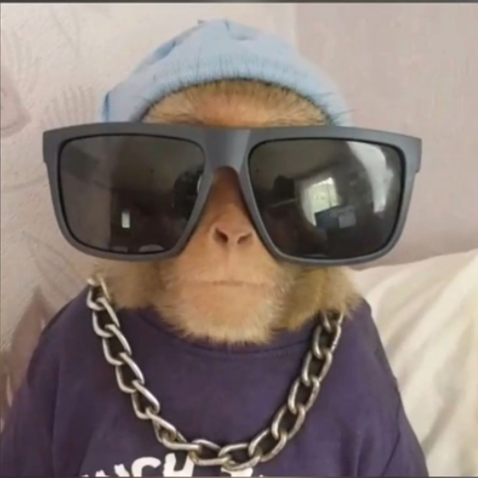 Cool Bibizyan avatar