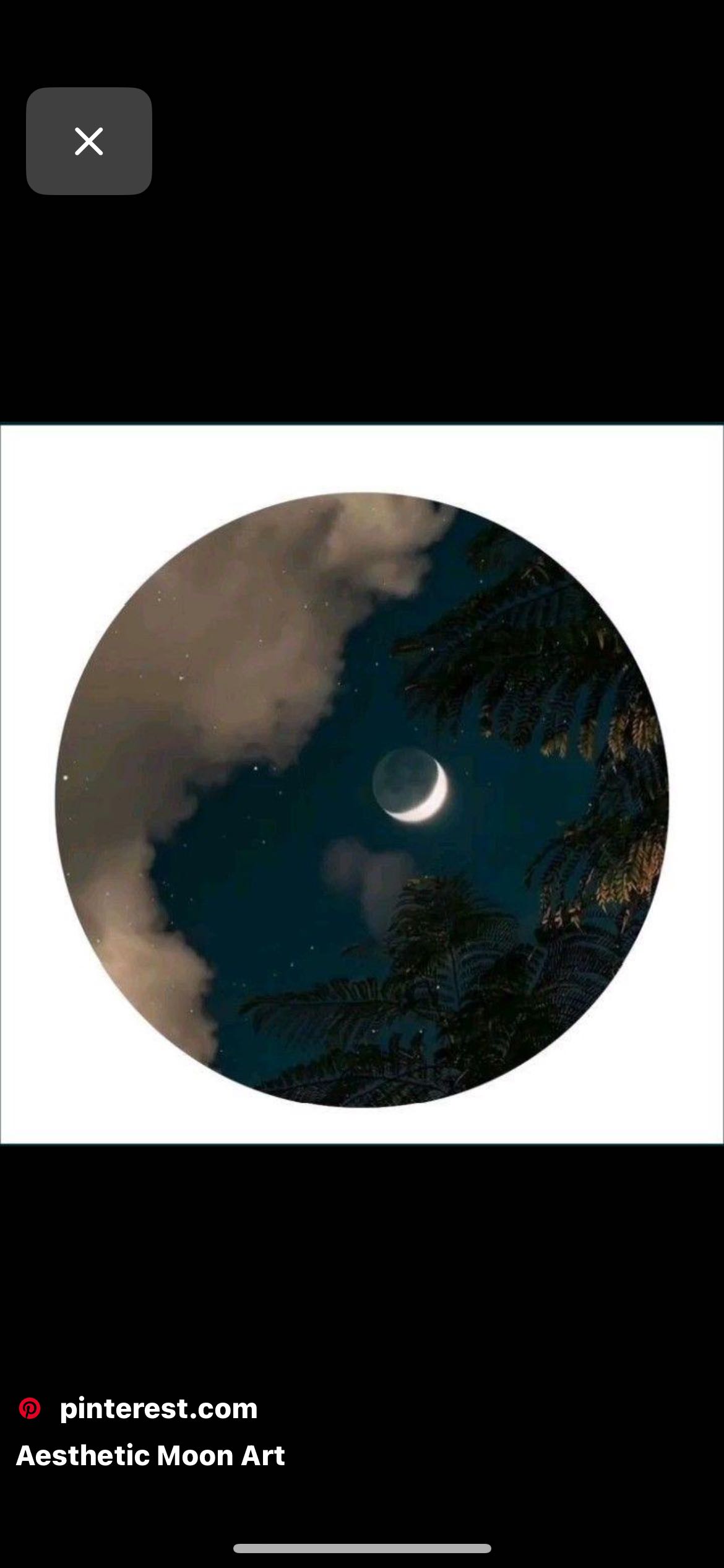 @naturevelocity avatar
