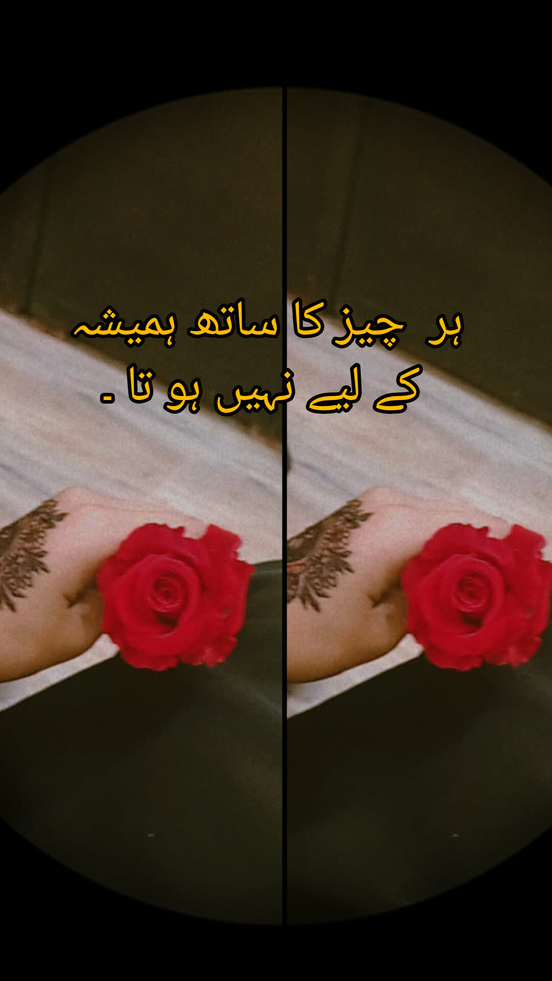 Areeba avatar