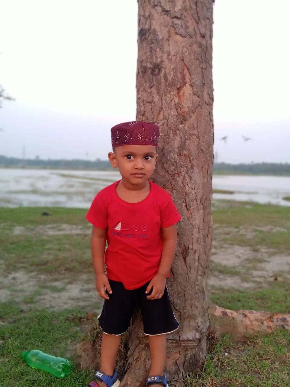 lovly boy avatar