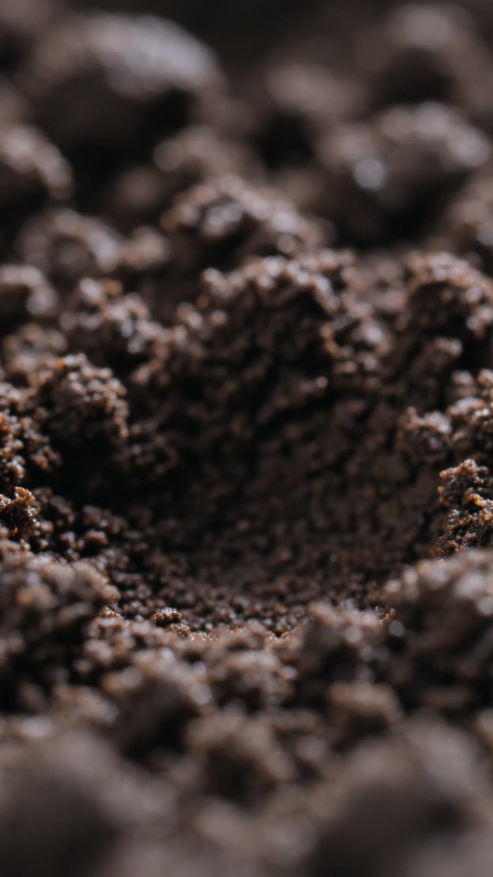 🌱 From Seed to Life - image seed AI video
