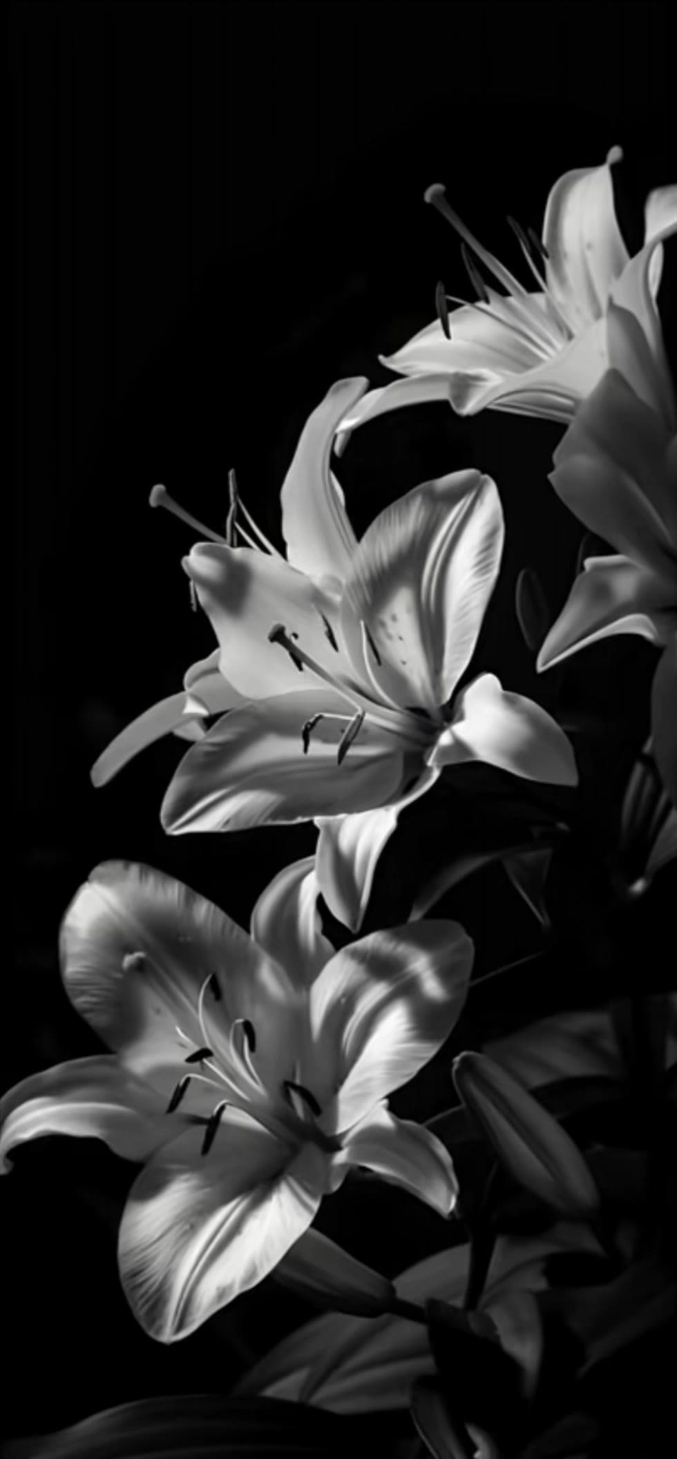 Kling AI work 309239815617320 - heart phone wallpaper AI video