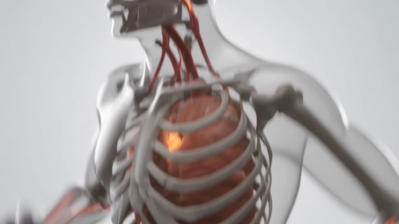 “Brain During Exercise” 3D Anima - brain try on AI video