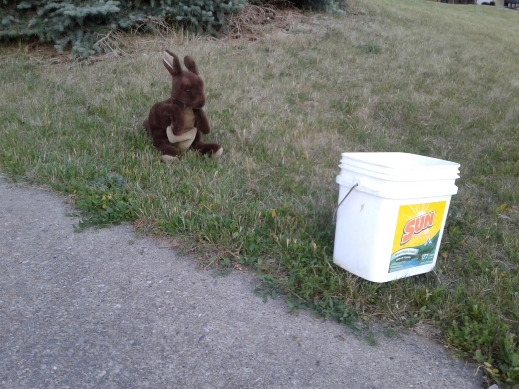 Watch where you're going, roo! - watch bucket list movie AI video