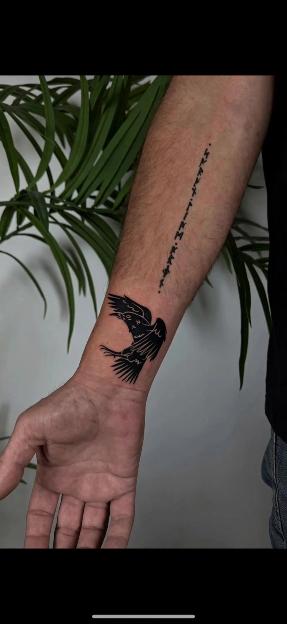 Kling AI work 317848493662093 - flying raven tattoo AI video