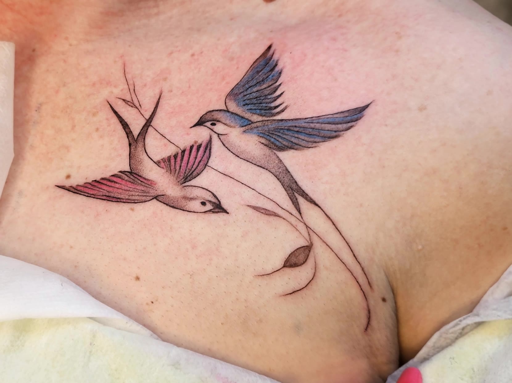 Love birds tattoo - convert photo to tattoo online free AI video