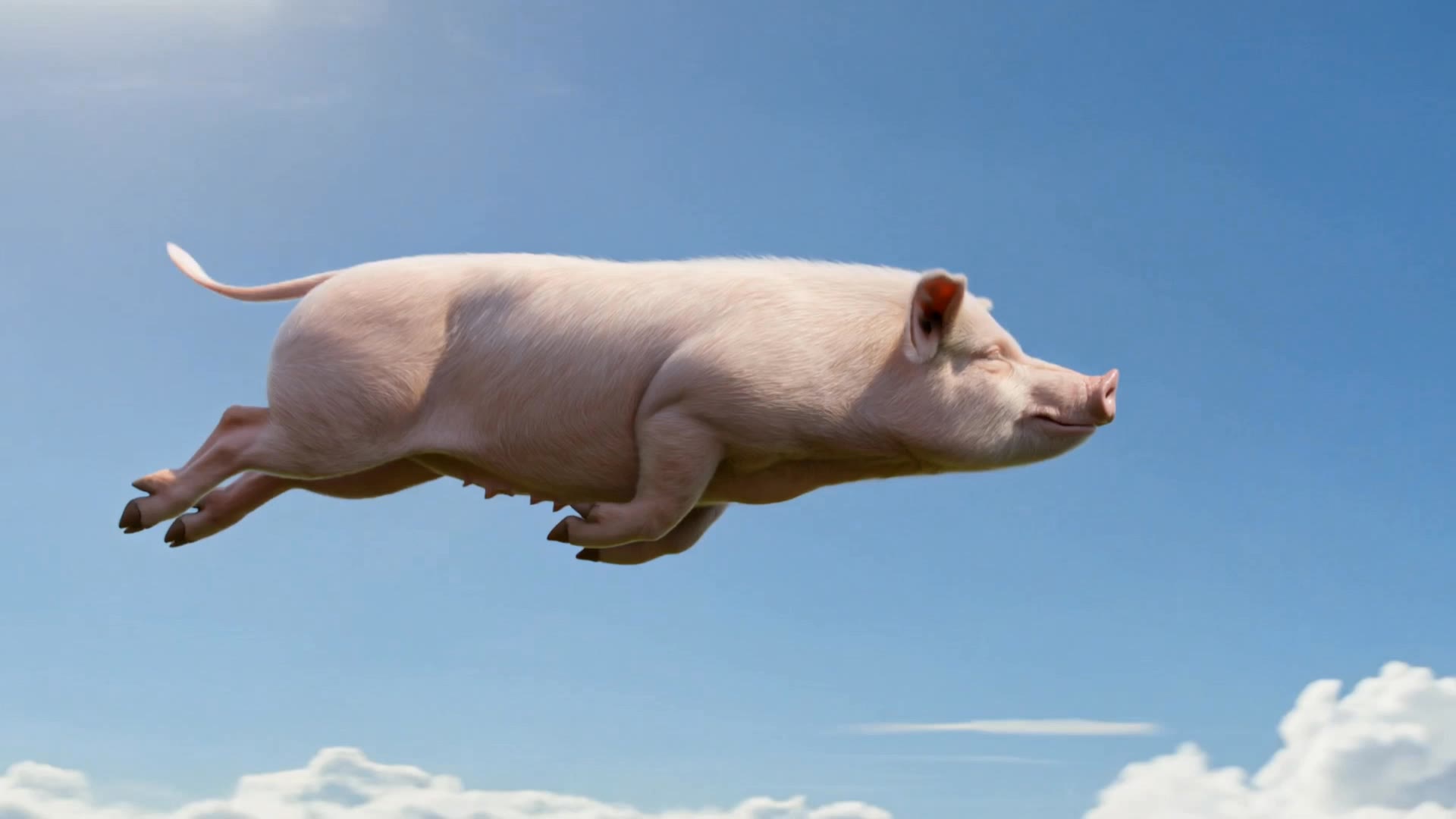 When Pigs Fly - pig silhouette AI video