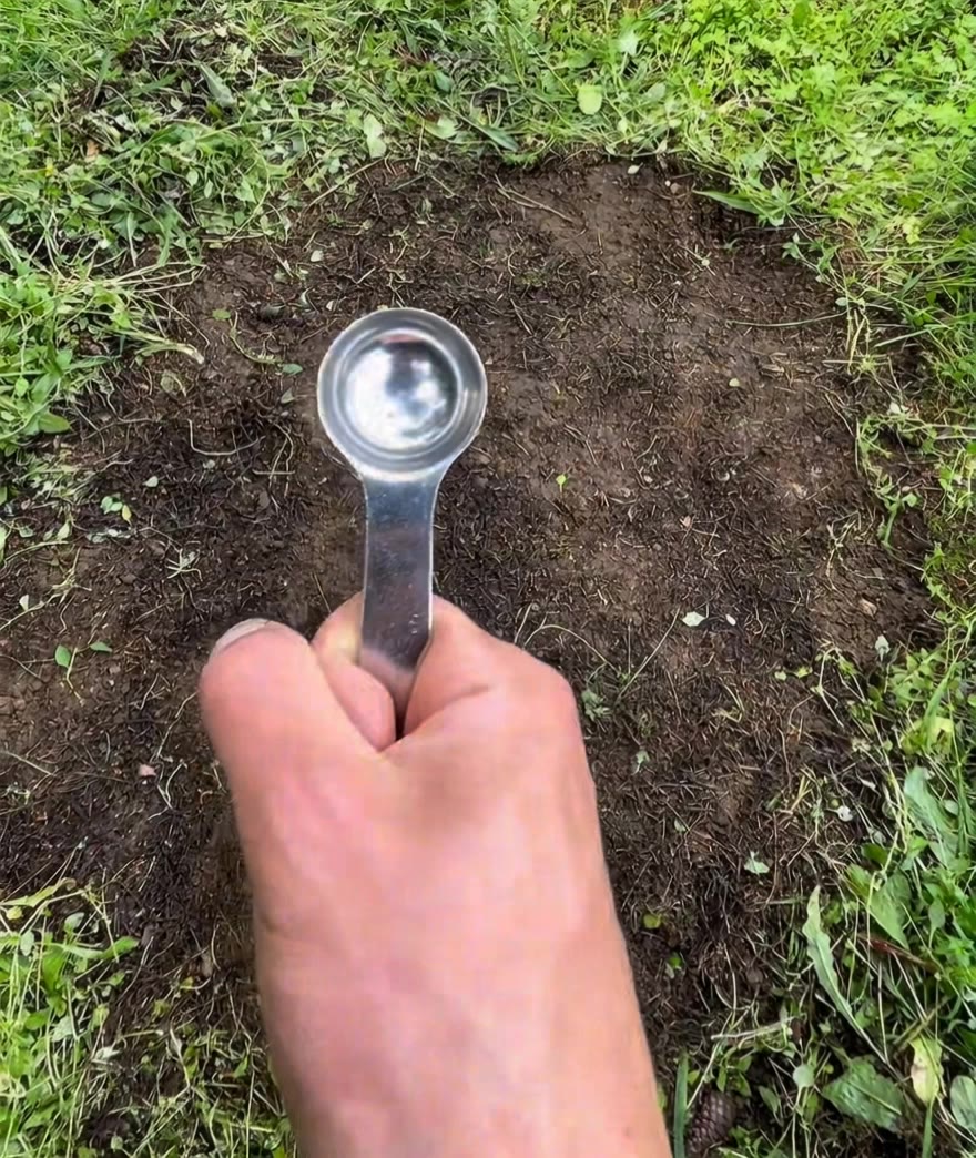 Kling AI work 311346210525018 - aspect ratio for tiktok AI video