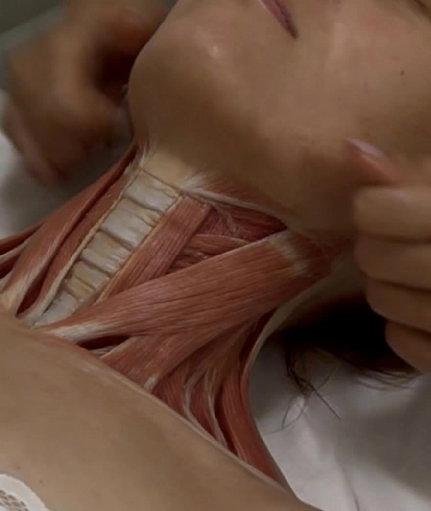 Kling AI work 315421899528192 - massage desktop wallpaper AI video