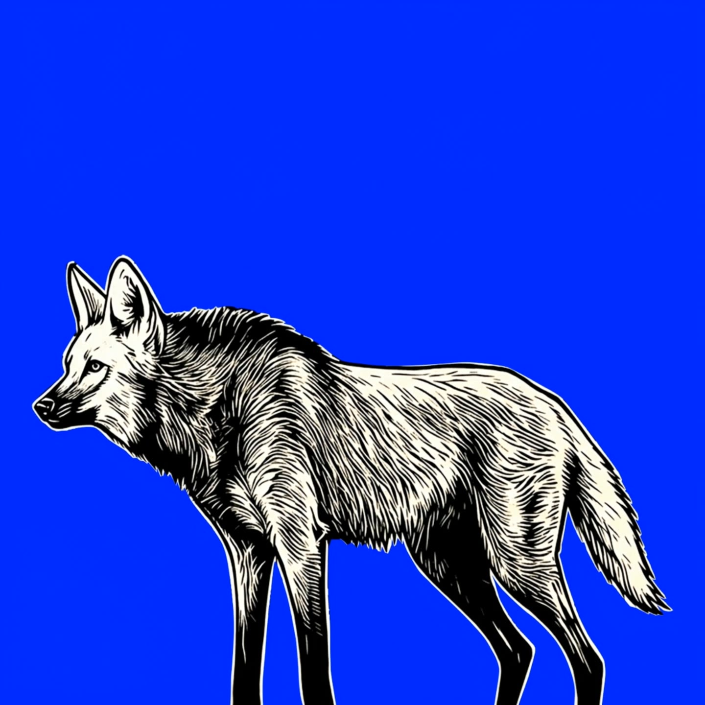 MANED WOLF - wolf style AI video