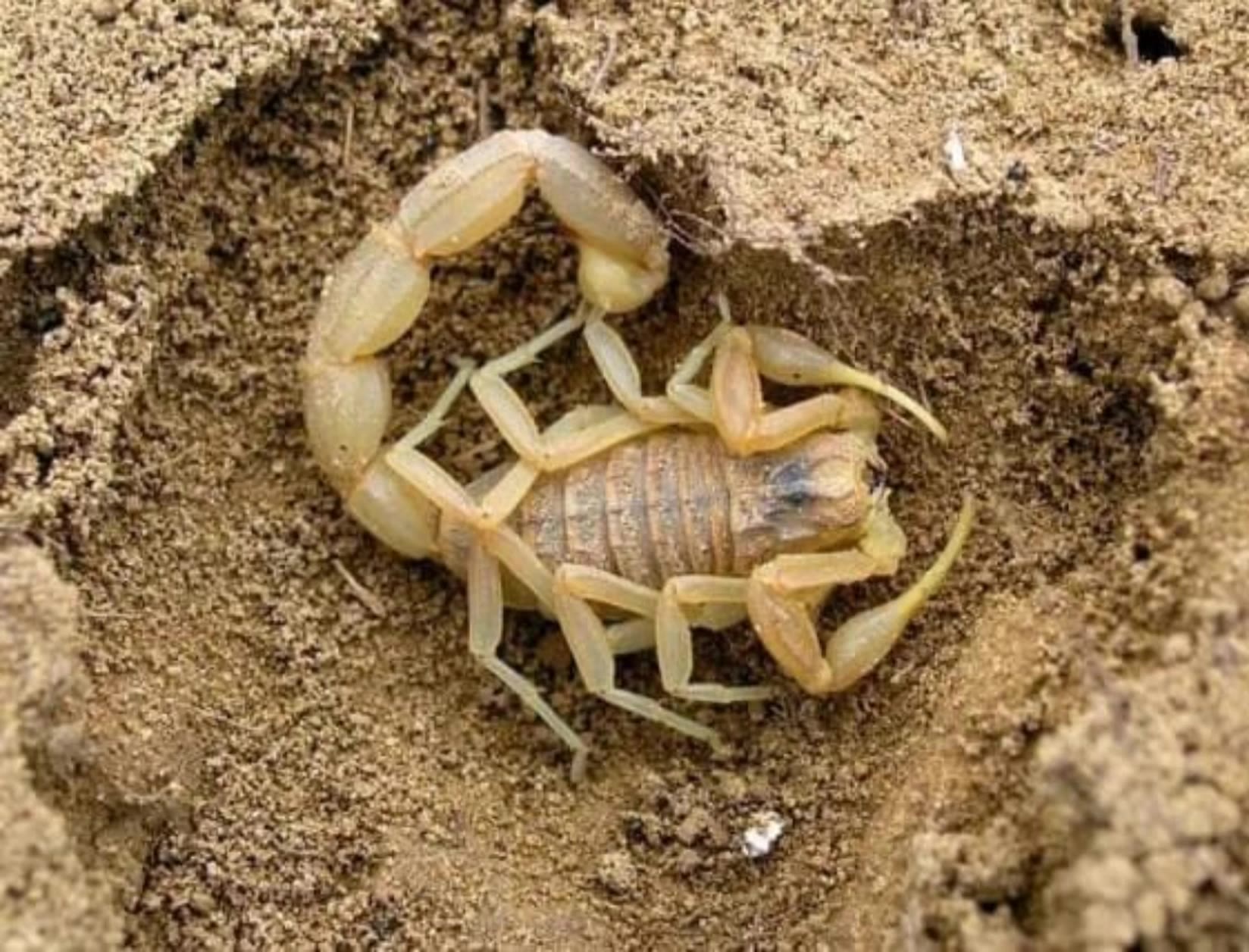 Kling AI work 317734972666765 - taper on the sides AI video