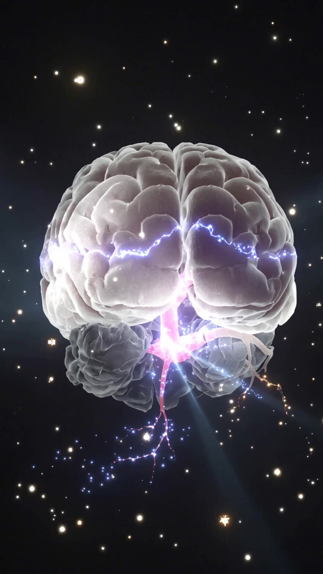 Human brain - brain try on AI video