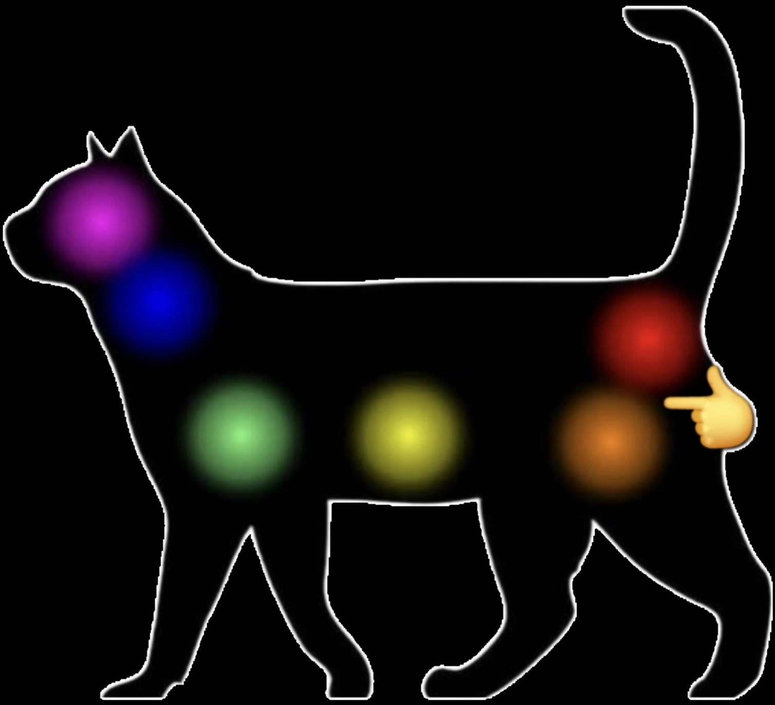 Kling AI work 313861362663536 - animal randomizer AI video