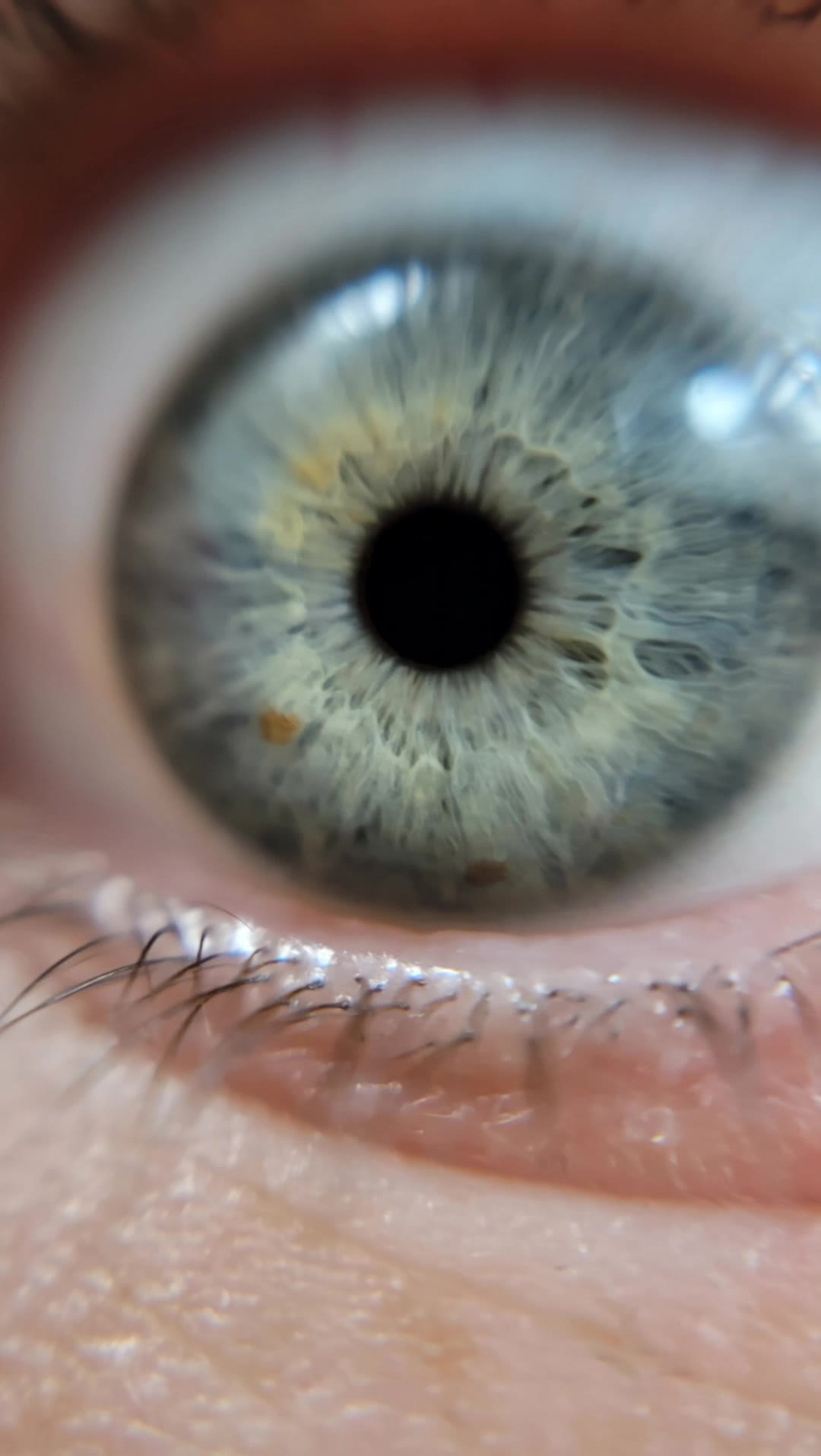 Kling AI work 296591486528510 - infinite zoom art AI video