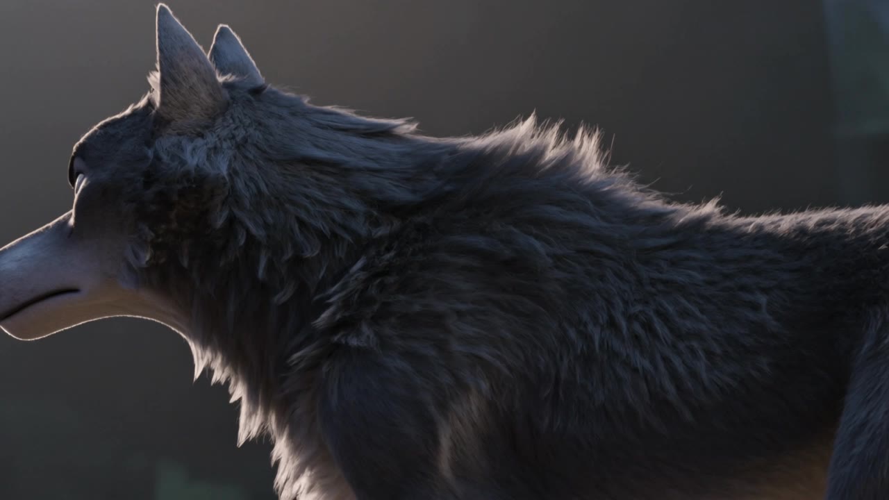 Wolf - wolf style AI video